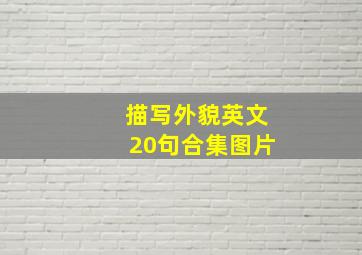 描写外貌英文20句合集图片