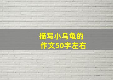 描写小乌龟的作文50字左右