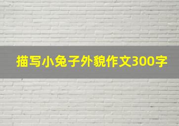 描写小兔子外貌作文300字