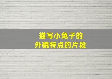 描写小兔子的外貌特点的片段