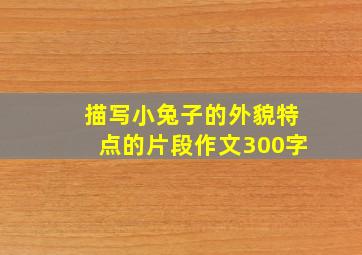 描写小兔子的外貌特点的片段作文300字