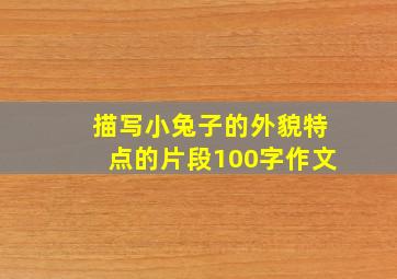 描写小兔子的外貌特点的片段100字作文