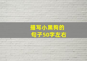 描写小黑狗的句子50字左右