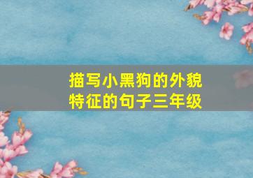 描写小黑狗的外貌特征的句子三年级