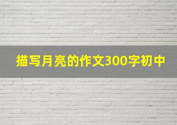 描写月亮的作文300字初中