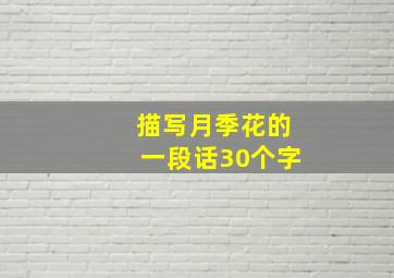 描写月季花的一段话30个字