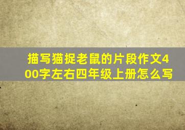 描写猫捉老鼠的片段作文400字左右四年级上册怎么写