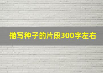 描写种子的片段300字左右