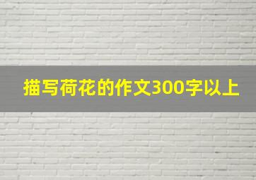 描写荷花的作文300字以上