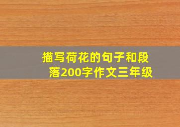 描写荷花的句子和段落200字作文三年级