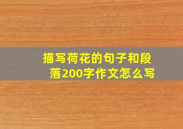 描写荷花的句子和段落200字作文怎么写