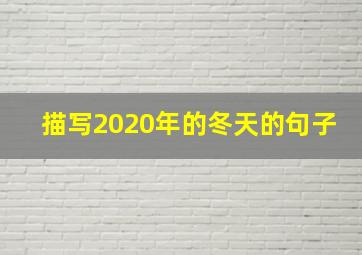 描写2020年的冬天的句子