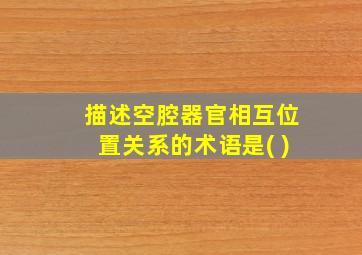 描述空腔器官相互位置关系的术语是( )