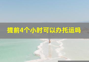 提前4个小时可以办托运吗