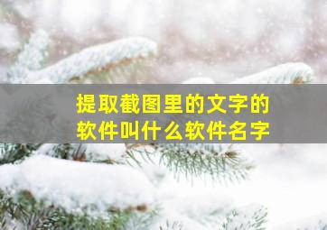 提取截图里的文字的软件叫什么软件名字