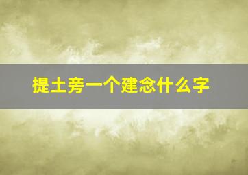 提土旁一个建念什么字