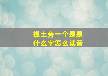 提土旁一个是是什么字怎么读音