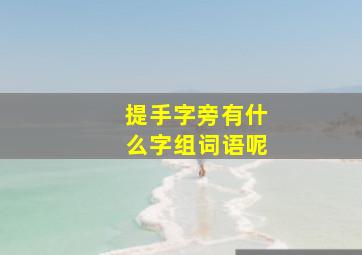 提手字旁有什么字组词语呢