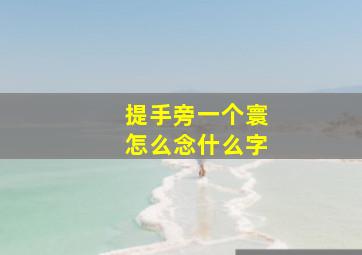 提手旁一个寰怎么念什么字