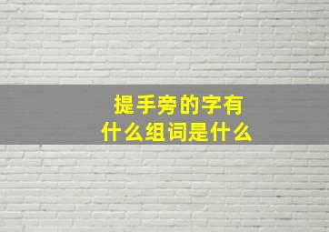 提手旁的字有什么组词是什么