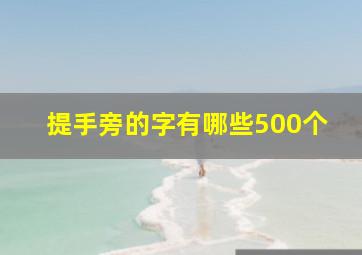 提手旁的字有哪些500个