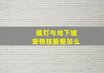 提灯与地下城宠物技能叠加么