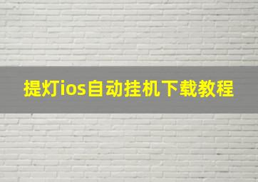 提灯ios自动挂机下载教程