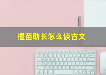 揠苗助长怎么读古文