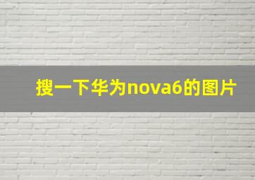 搜一下华为nova6的图片