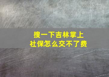 搜一下吉林掌上社保怎么交不了费