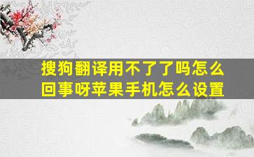 搜狗翻译用不了了吗怎么回事呀苹果手机怎么设置