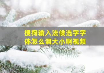 搜狗输入法候选字字体怎么调大小啊视频