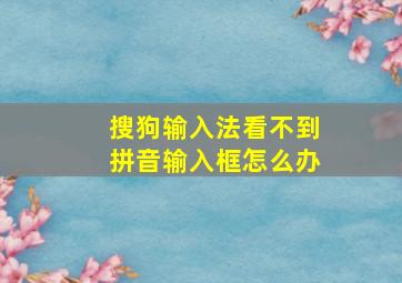 搜狗输入法看不到拼音输入框怎么办