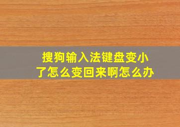 搜狗输入法键盘变小了怎么变回来啊怎么办