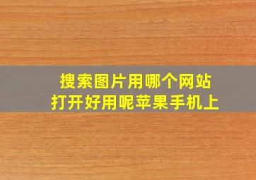 搜索图片用哪个网站打开好用呢苹果手机上