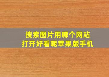 搜索图片用哪个网站打开好看呢苹果版手机