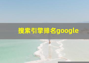 搜索引擎排名google