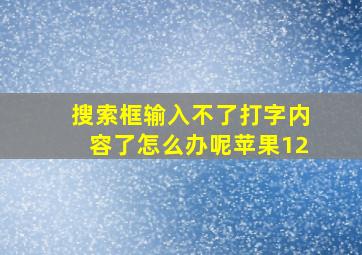 搜索框输入不了打字内容了怎么办呢苹果12