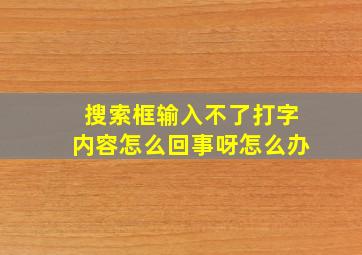 搜索框输入不了打字内容怎么回事呀怎么办