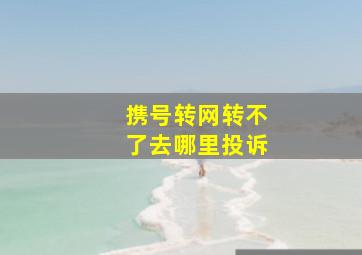 携号转网转不了去哪里投诉