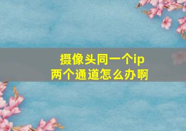 摄像头同一个ip两个通道怎么办啊