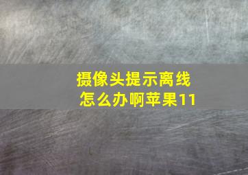 摄像头提示离线怎么办啊苹果11