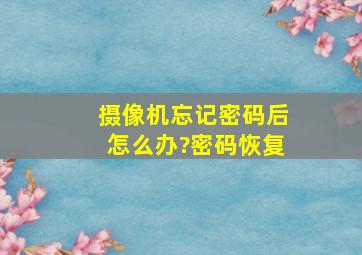 摄像机忘记密码后怎么办?密码恢复