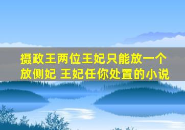 摄政王两位王妃只能放一个 放侧妃 王妃任你处置的小说