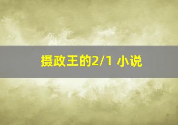 摄政王的2/1 小说