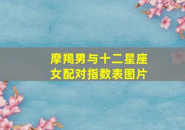 摩羯男与十二星座女配对指数表图片