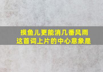 摸鱼儿更能消几番风雨这首词上片的中心意象是