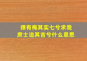 摽有梅其实七兮求我庶士迨其吉兮什么意思