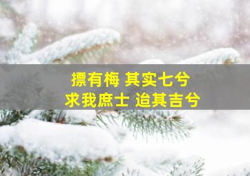 摽有梅 其实七兮 求我庶士 迨其吉兮