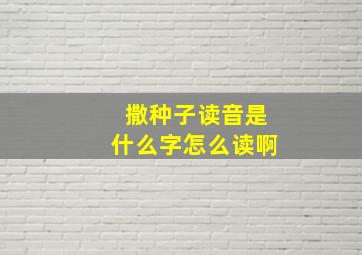 撒种子读音是什么字怎么读啊